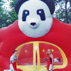 Children's Air Bouncers / Moonwalks / Bounce Houses - Panda Bounce