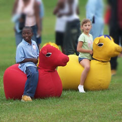 Derby Bouncy Horses for the Company Picnic