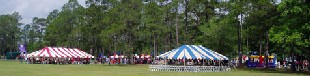 Georgia Picnic Example, Georgia Party Photo