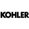 Kohler company picnic