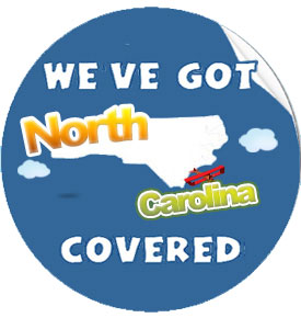 Company Picnic for North Carolina, Charlotte, Raleigh, Greensboro, Winston-Salem, Durham