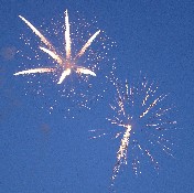 Kentucky Annual Picnic Photo