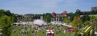 Tennessee Annual Picnic Photo
